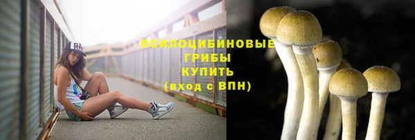 дживик Аркадак